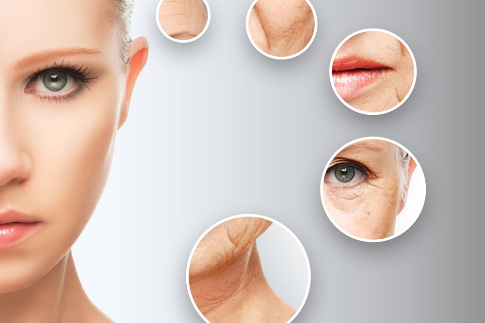 cannula-fillers